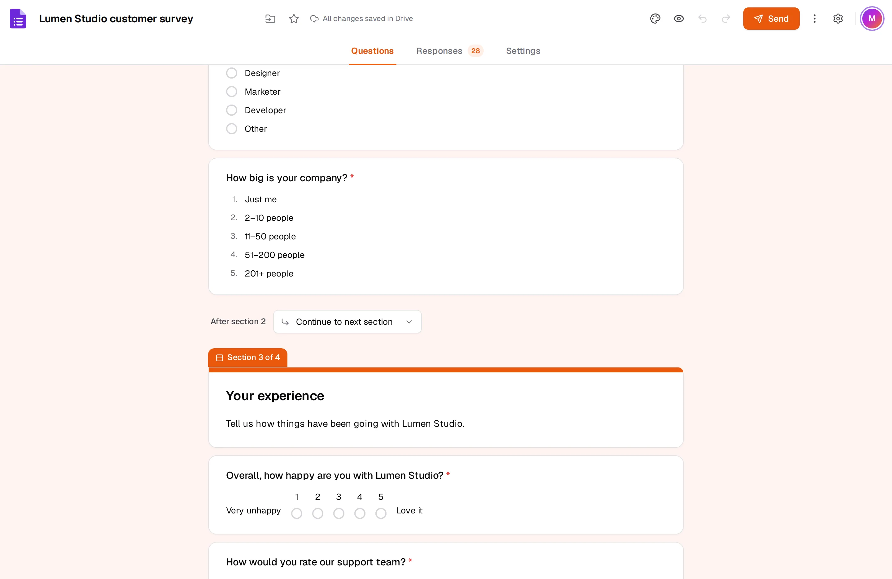 A form split into sections in the editor